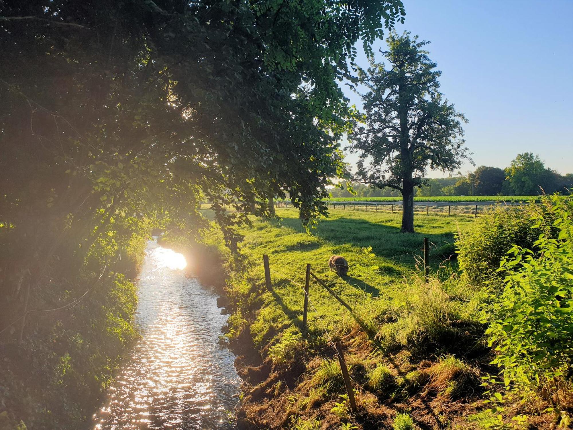 Meschermolen, Overnachten In De Schuur Eijsden Esterno foto