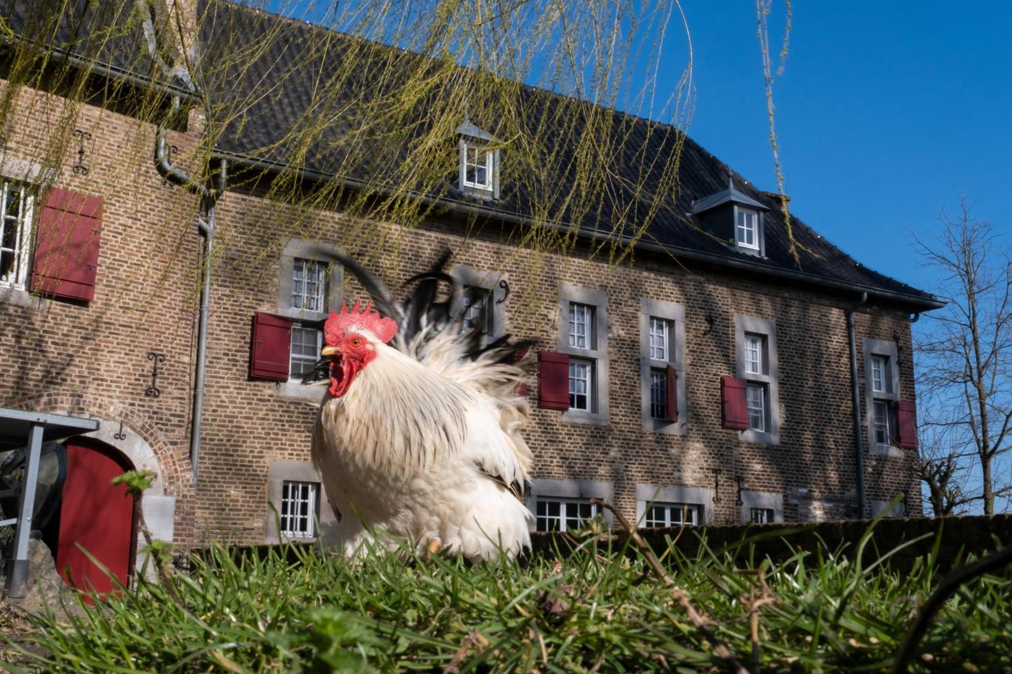 Meschermolen, Overnachten In De Schuur Eijsden Esterno foto